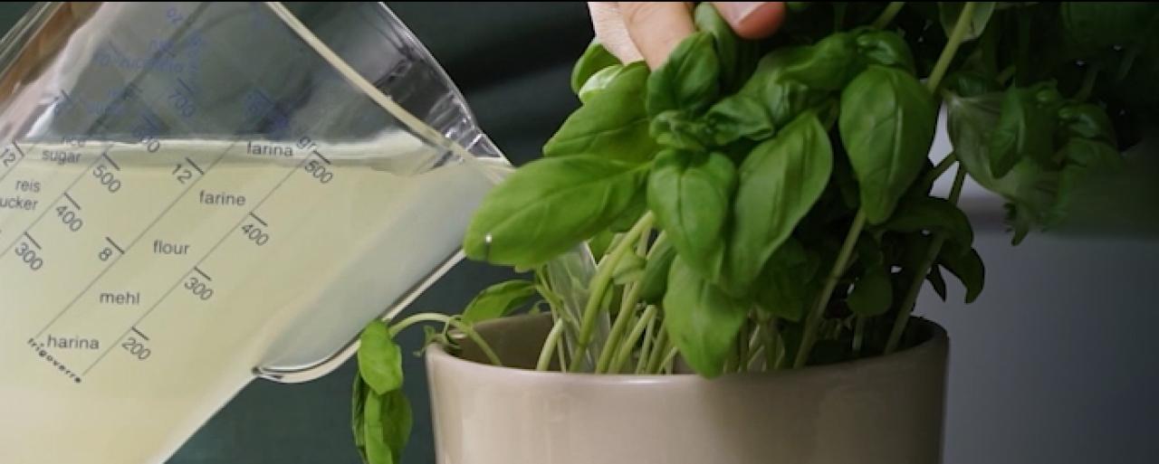 garden Gourmet Pasta water