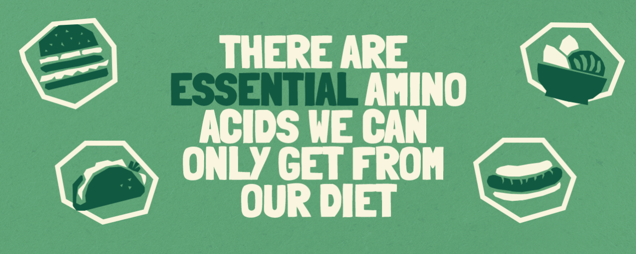 Garden Gourmet Essential Amino Acids